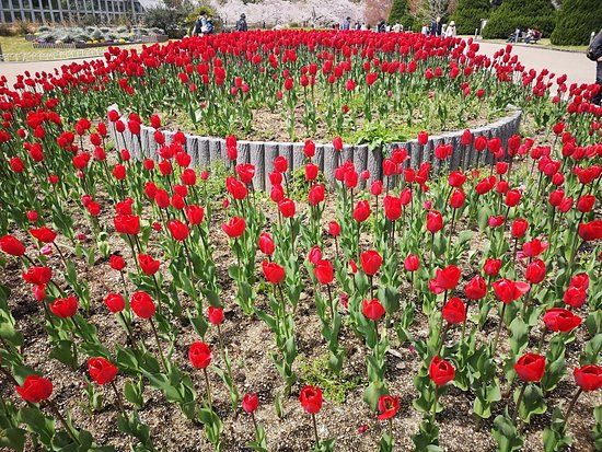 京都府立植物園